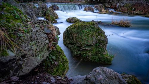 Scenic view of waterfall in forest