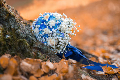 Wedding day bouquet in autumn color leaves, white and blue flowers