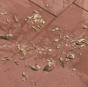 Close-up of broken glass pieces