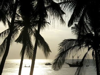Silhouette palm trees at beach against sky during sunset