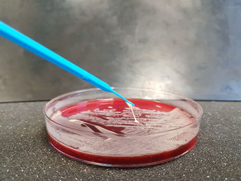 High angle view of drink in glass on table