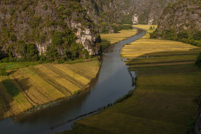 Scenic view of landscape