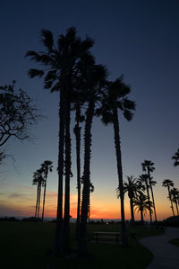 Silhouette palm trees against sky at sunset