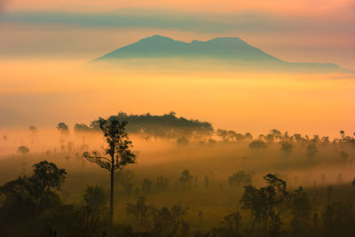 Thung salaeng luang national park of thailand, mountain view with sea of fog and forest