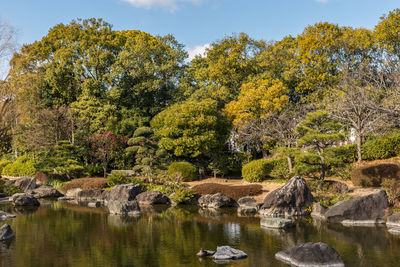 Scenic view of lake against trees