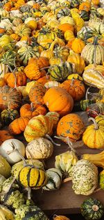 High angle view of pumpkins in market