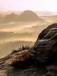 Bright dawn in early morning on countryside. perfect nature at dawn. sunlight in soft mist