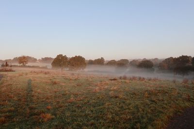 Scenic view of land against clear sky