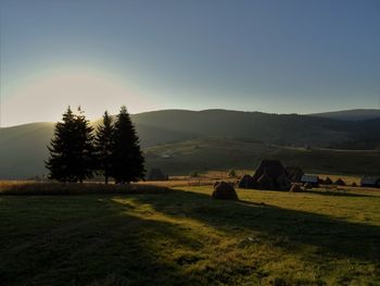 Scenic view of field against clear sky