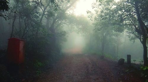 Scenic view of trees in foggy weather