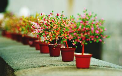 Close-up of red flower pot on table