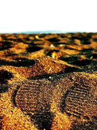 Close-up of rocks on beach