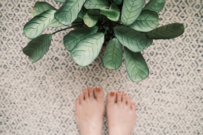 Low section of person standing on tiled floor