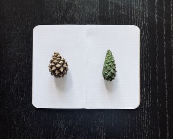 High angle view of bread on table