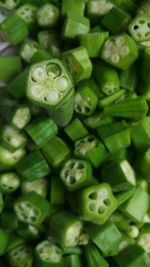 Full frame shot of green plant