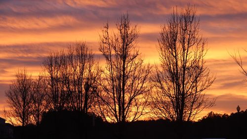 Silhouette bare trees against orange sky