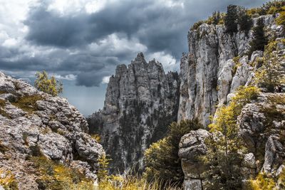 Rock formation amidst trees against sky