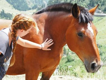 Close-up of horse in field