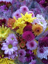 Close-up of purple and flowers