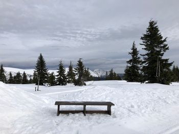 Empty bench on snow covered field against sky