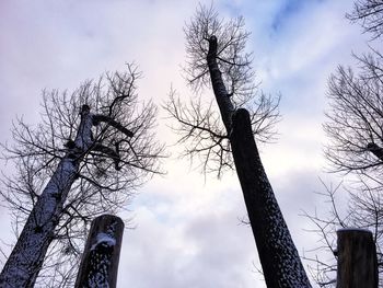 Low angle view of bare trees against cloudy sky