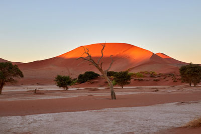 Sossusvlei during sunset in namibia