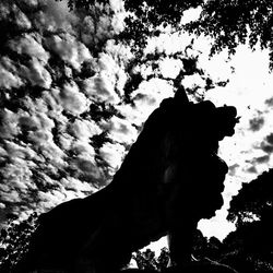 Low angle view of trees against sky