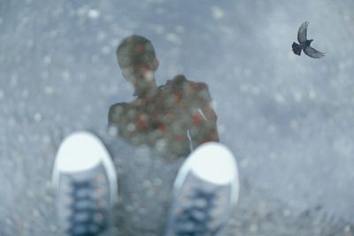 Man and bird reflecting on puddle