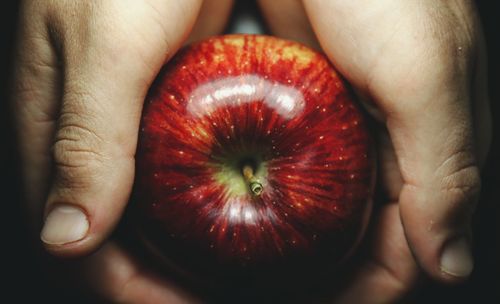 Close-up of person holding apple