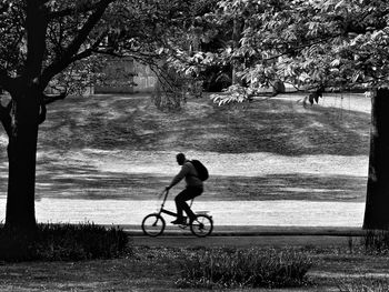 Man riding bicycle on tree