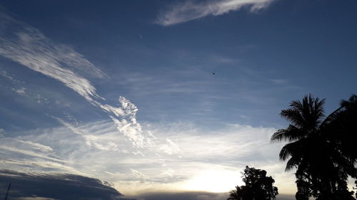 Low angle view of silhouette trees against sky