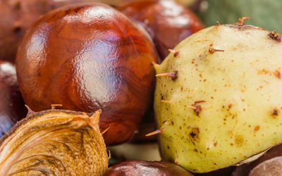 Close-up of fruits