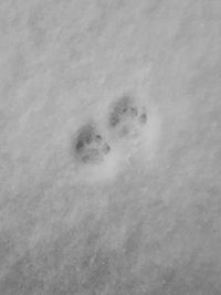 Full frame shot of snow on beach