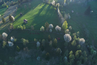 Spring rural