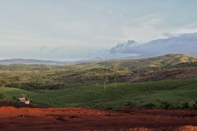 Scenic view of field against sky