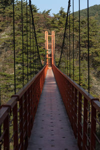 Footbridge in forest