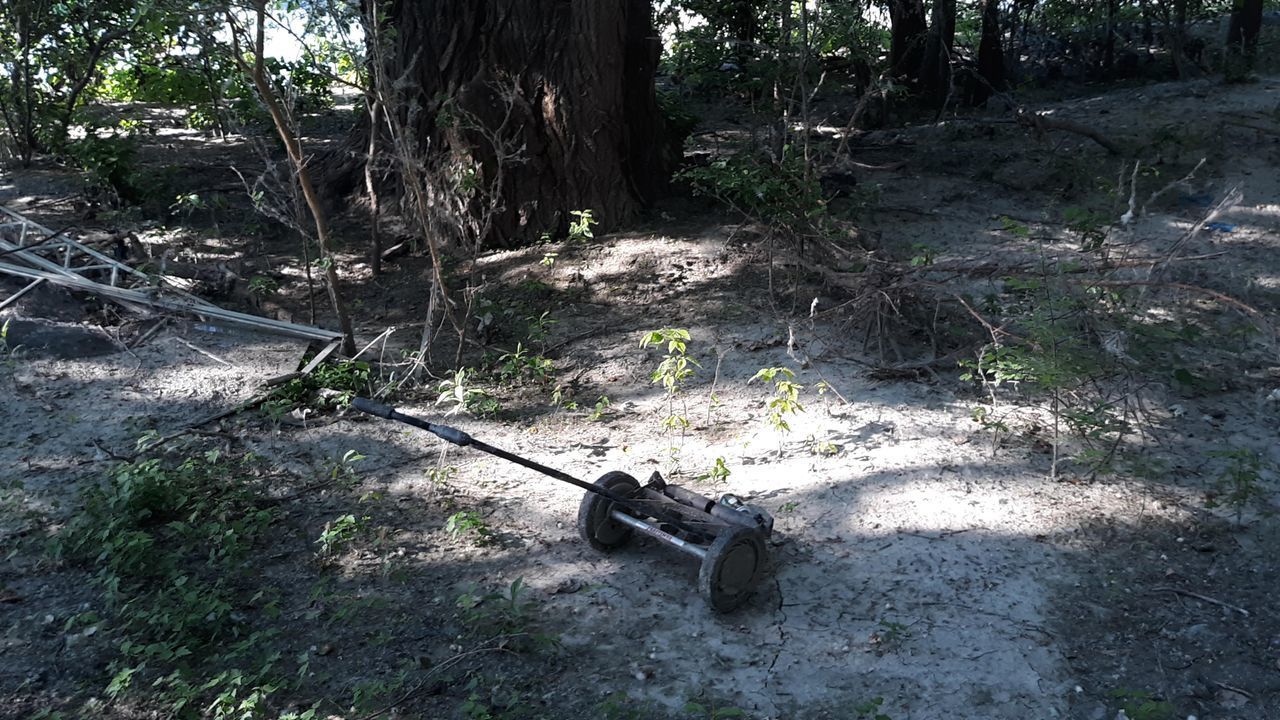 HIGH ANGLE VIEW OF ABANDONED BICYCLE ON FIELD