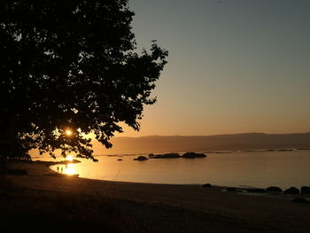 Silhouette trees on beach against clear sky during sunset