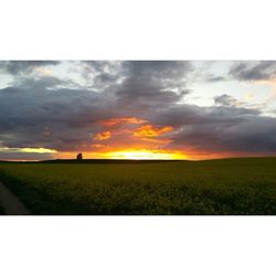 Scenic view of landscape against cloudy sky