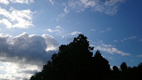 Low angle view of silhouette trees against sky