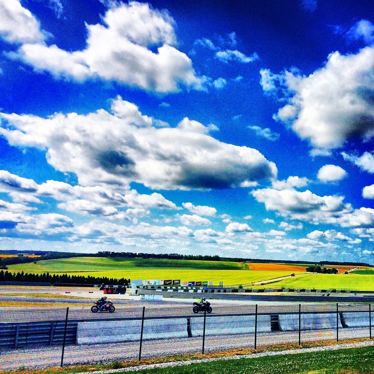 sky, agriculture, field, landscape, rural scene, fence, cloud - sky, tranquility, tranquil scene, farm, cloud, blue, scenics, beauty in nature, nature, cloudy, crop, horizon over land, yellow, protection