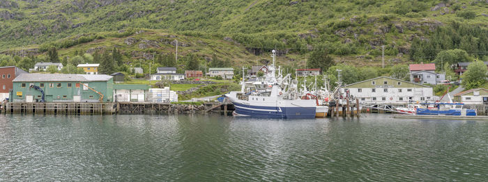 Boats moored in sea by buildings and trees