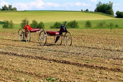 Horse cart on field