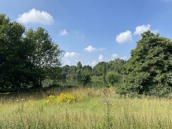 Trees on field against sky