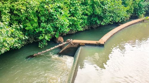 High angle view of river amidst trees