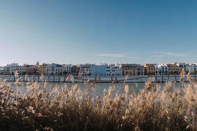 Buildings by river against clear sky