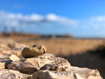 Close-up of rock on beach