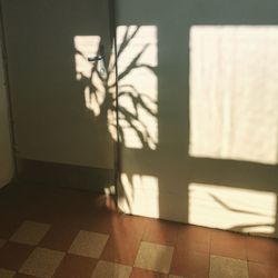 Sunlight falling on floor at home