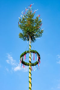 Low angle view of tree against sky