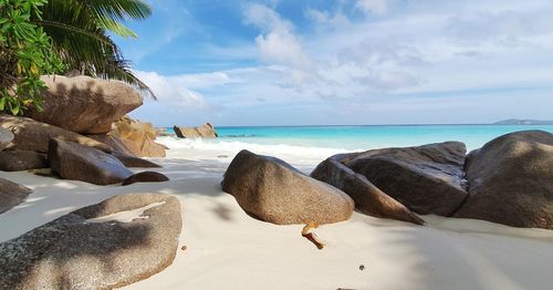 Scenic view of rocks on beach against sky